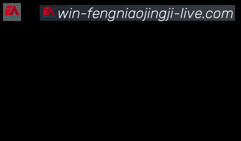 蜂鸟竞技合作伙伴